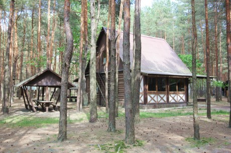 Selyahi