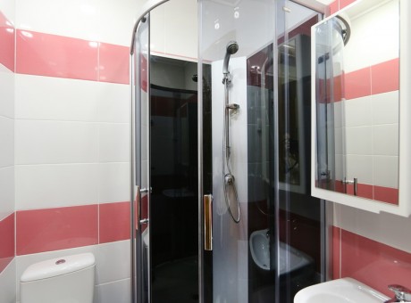 1-room single standard, house «Raspberries»