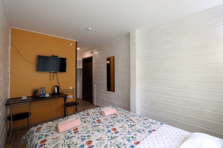 1-room double standard, house «Sunitsy»