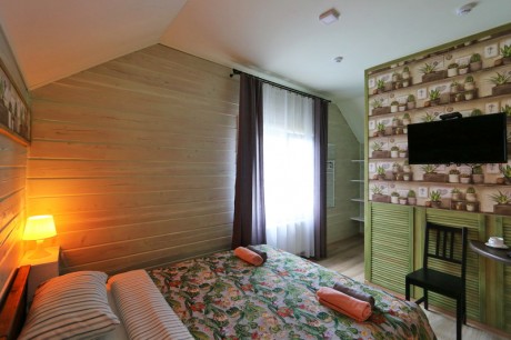 1-room double standard, house «Shypshyna»