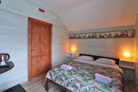 1-room double standard, house «Shypshyna»