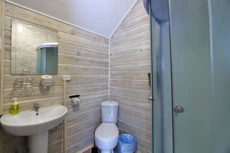 1-room double standard, house «Shypshyna»