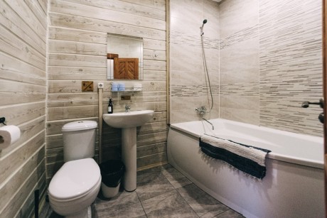 2-room double suite VIP, house «Shypshyna»