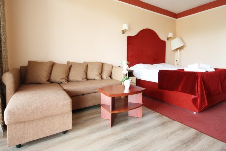 1-room double junior suite, hotel
