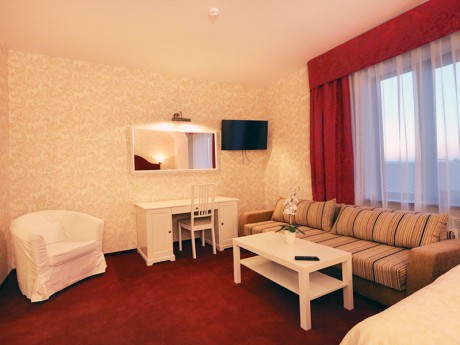 1-room double junior suite, hotel
