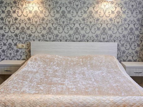 Double 1-room VIP №2, main building