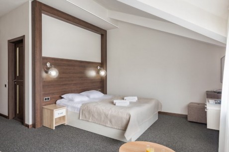 1-room double / Standard, hotel
