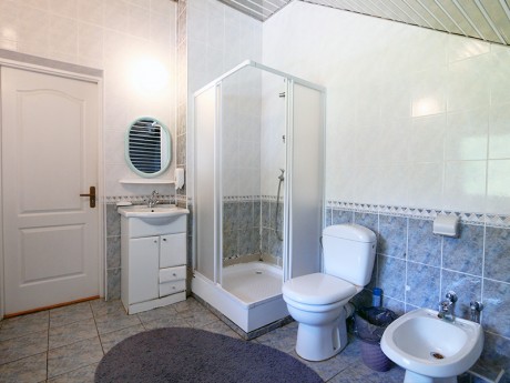 1-room single, cottage №2