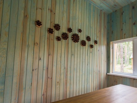 7-bed 5-room, cottage «Nevada»