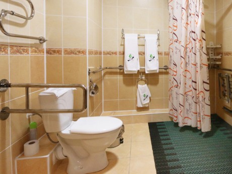 1-room double (for disabled people), hotel