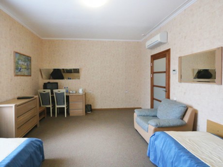 1-room double (for disabled people), hotel